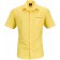 color:yellow